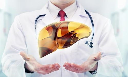 养肝护肝多喝这6种茶(肝不好的人有三黑两臭),第1张 养肝护肝多喝这6种茶(肝不好的人有三黑两臭),养肝护肝多喝这6种茶(肝不好的人有三黑两臭),第1张