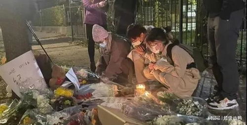 中国留学生在美遭枪杀母亲回国致谢的简单介绍,中国留学生在美遭枪杀母亲回国致谢的简单介绍,第1张