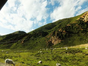 上海浦东写字楼装修:探究箭牌AB1246净水器的过滤原理及使用注意事项,第3张 上海浦东写字楼装修:探究箭牌AB1246净水器的过滤原理及使用注意事项,上海浦东写字楼装修:探究箭牌AB1246净水器的过滤原理及使用注意事项,第3张