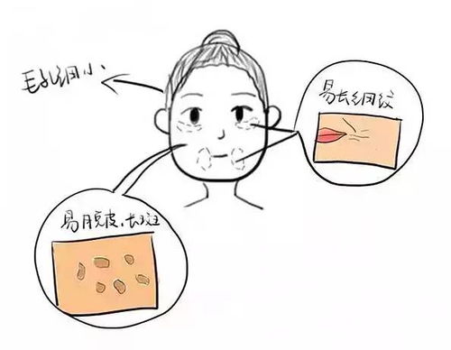 皮肤含水量多少为缺水(皮肤含水量多少为缺水呢),第1张 皮肤含水量多少为缺水(皮肤含水量多少为缺水呢),皮肤含水量多少为缺水(皮肤含水量多少为缺水呢),第1张