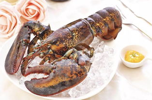 波士顿龙虾最好的做法(什么叫波士顿龙虾),第3张 波士顿龙虾最好的做法(什么叫波士顿龙虾),波士顿龙虾最好的做法(什么叫波士顿龙虾),第3张