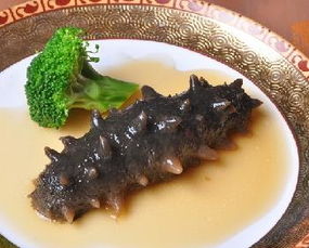 藕粉的营养价值(海参的营养价值和功效),第2张 藕粉的营养价值(海参的营养价值和功效),藕粉的营养价值(海参的营养价值和功效),第2张