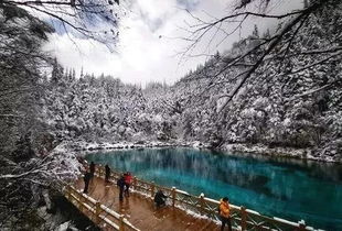 审车新规（审车新规定2023）,审车新规（审车新规定2023）,第3张