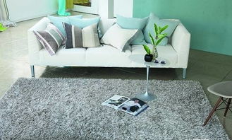 家居地毯(家居地毯适合用哪种),第1张 家居地毯(家居地毯适合用哪种),家居地毯(家居地毯适合用哪种),第1张