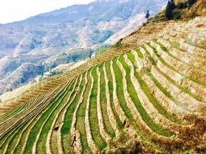 五菱宏光最新报价(五菱车系列价格及图片),第2张 五菱宏光最新报价(五菱车系列价格及图片),五菱宏光最新报价(五菱车系列价格及图片),第2张