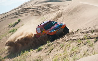 中国越野拉力赛（中国越野拉力赛魏红杰陷沙）,中国越野拉力赛（中国越野拉力赛魏红杰陷沙）,第2张