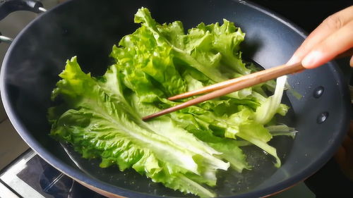 上海办公室设计:电器品牌排行榜:十款烤箱、榨汁机、面包机、食品加工机等厨房电器品牌比较,第2张 上海办公室设计:电器品牌排行榜:十款烤箱、榨汁机、面包机、食品加工机等厨房电器品牌比较,上海办公室设计:电器品牌排行榜:十款烤箱、榨汁机、面包机、食品加工机等厨房电器品牌比较,第2张