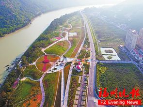 分心木的副作用很大（分心木一周喝几次最好）,分心木的副作用很大（分心木一周喝几次最好）,第3张