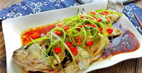 甲鱼的做法大全家常菜(甲鱼的做法大全窍门),第3张 甲鱼的做法大全家常菜(甲鱼的做法大全窍门),甲鱼的做法大全家常菜(甲鱼的做法大全窍门),第3张