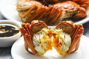 大闸蟹做法教程最简单(大闸蟹做法最正宗的做法),第1张 大闸蟹做法教程最简单(大闸蟹做法最正宗的做法),大闸蟹做法教程最简单(大闸蟹做法最正宗的做法),第1张