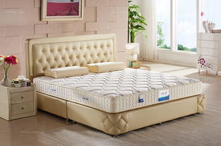 奥米多床垫(奥米多床垫是品牌吗),第1张 奥米多床垫(奥米多床垫是品牌吗),奥米多床垫(奥米多床垫是品牌吗),第1张