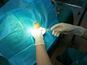 仿洞石涂料(仿洞石涂料的施工工艺流程),第2张 仿洞石涂料(仿洞石涂料的施工工艺流程),仿洞石涂料(仿洞石涂料的施工工艺流程),第2张