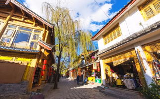 投影灯泡价格（投影仪灯泡价格）,投影灯泡价格（投影仪灯泡价格）,第2张