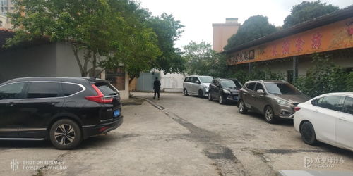 蒜的腌制方法家常（辣八蒜的腌制方法家常）,蒜的腌制方法家常（辣八蒜的腌制方法家常）,第1张