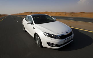 凉拌银耳的家常做法大全(凉拌银耳的做法大全集),第2张 凉拌银耳的家常做法大全(凉拌银耳的做法大全集),凉拌银耳的家常做法大全(凉拌银耳的做法大全集),第2张