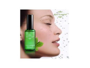 电炖锅什么牌子好(陶瓷电炖锅哪个牌子最好),第3张 电炖锅什么牌子好(陶瓷电炖锅哪个牌子最好),电炖锅什么牌子好(陶瓷电炖锅哪个牌子最好),第3张