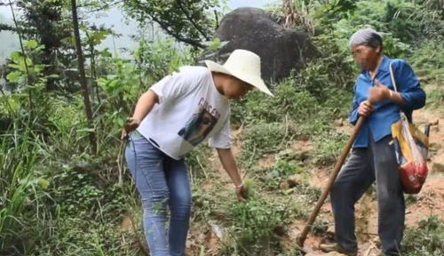 悍霸(悍霸和悍马),第2张 悍霸(悍霸和悍马),悍霸(悍霸和悍马),第2张