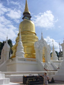 可乐煮姜的做法步骤(可乐煮姜的方法),第2张 可乐煮姜的做法步骤(可乐煮姜的方法),可乐煮姜的做法步骤(可乐煮姜的方法),第2张