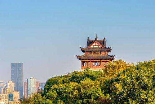 归元寺官网(长安归元寺官网),第3张 归元寺官网(长安归元寺官网),归元寺官网(长安归元寺官网),第3张