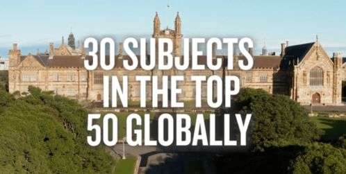 舒达羊(舒达羊羊尊享),第2张 舒达羊(舒达羊羊尊享),舒达羊(舒达羊羊尊享),第2张