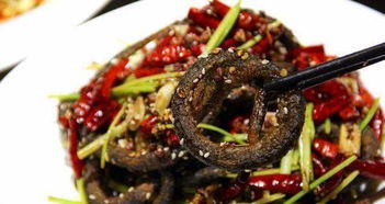 红烧黄鳝怎么做(红烧黄鳝怎么做最好吃又简单),第3张 红烧黄鳝怎么做(红烧黄鳝怎么做最好吃又简单),红烧黄鳝怎么做(红烧黄鳝怎么做最好吃又简单),第3张