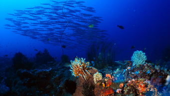 家居搭配(家居搭配技巧),第3张 家居搭配(家居搭配技巧),家居搭配(家居搭配技巧),第3张