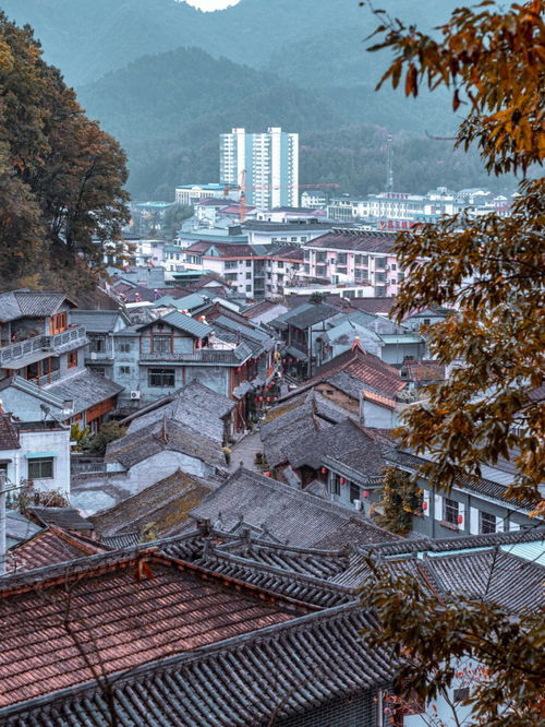 关于rav4论坛的信息,第3张 关于rav4论坛的信息,关于rav4论坛的信息,第3张