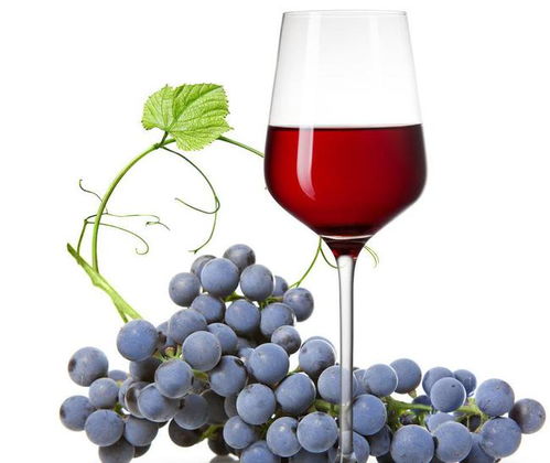 办公室装饰公司:确保财运旺旺旺,招财猫举左手和右手的不同效果,第2张 办公室装饰公司:确保财运旺旺旺,招财猫举左手和右手的不同效果,办公室装饰公司:确保财运旺旺旺,招财猫举左手和右手的不同效果,第2张