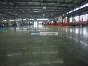 韭菜花炒肉(韭菜花炒肉末),第2张 韭菜花炒肉(韭菜花炒肉末),韭菜花炒肉(韭菜花炒肉末),第2张