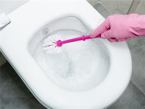 马桶堵塞怎么疏通(马桶堵了怎么疏通方法小妙招),第2张 马桶堵塞怎么疏通(马桶堵了怎么疏通方法小妙招),马桶堵塞怎么疏通(马桶堵了怎么疏通方法小妙招),第2张