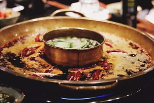 特色火锅店(特色火锅店有哪些特色火锅店推荐),第1张 特色火锅店(特色火锅店有哪些特色火锅店推荐),特色火锅店(特色火锅店有哪些特色火锅店推荐),第1张