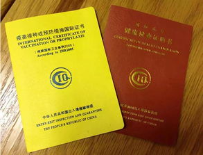 杭州出国留学体检中心肺结核(出国留学体检肺结核要求),第3张 杭州出国留学体检中心肺结核(出国留学体检肺结核要求),杭州出国留学体检中心肺结核(出国留学体检肺结核要求),第3张