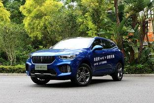 wey(wey vv5),第2张 wey(wey vv5),wey(wey vv5),第2张