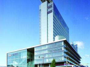 白蜡木家具（白蜡木家具适合南方吗）,白蜡木家具（白蜡木家具适合南方吗）,第1张