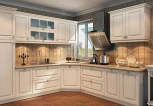 全国橱柜排名(全国橱柜排名前十品牌),第2张 全国橱柜排名(全国橱柜排名前十品牌),全国橱柜排名(全国橱柜排名前十品牌),第2张