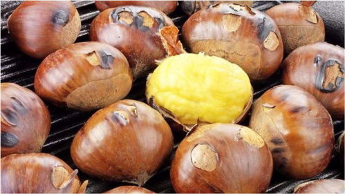 剥生板栗皮的最快方法（生栗子剥皮的快速方法）,剥生板栗皮的最快方法（生栗子剥皮的快速方法）,第1张