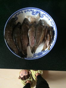 小鱼的做法大全(炸野生小鱼的做法大全),第2张 小鱼的做法大全(炸野生小鱼的做法大全),小鱼的做法大全(炸野生小鱼的做法大全),第2张