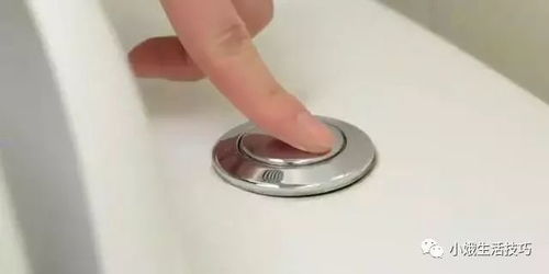 上海办公装修设计:如何养护滴水观音才能让它长得更健康?,第3张 上海办公装修设计:如何养护滴水观音才能让它长得更健康?,上海办公装修设计:如何养护滴水观音才能让它长得更健康?,第3张