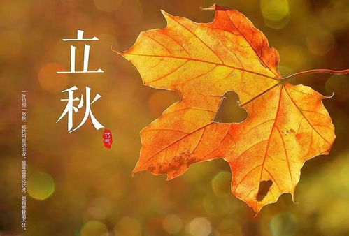 立秋皮肤的保养知识(立秋皮肤的保养知识是什么),第1张 立秋皮肤的保养知识(立秋皮肤的保养知识是什么),立秋皮肤的保养知识(立秋皮肤的保养知识是什么),第1张