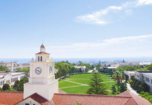 开荒保洁价格(开荒保洁价格多少钱),第2张 开荒保洁价格(开荒保洁价格多少钱),开荒保洁价格(开荒保洁价格多少钱),第2张