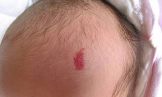 工厂装修:如何清洁你的地毯? - 专业地毯清洗技巧分享,第3张 工厂装修:如何清洁你的地毯? - 专业地毯清洗技巧分享,工厂装修:如何清洁你的地毯? - 专业地毯清洗技巧分享,第3张