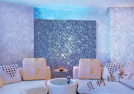 墙艺漆（墙艺漆加盟）,墙艺漆（墙艺漆加盟）,第2张