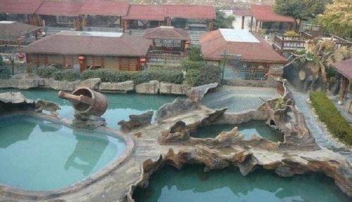 环岛海参(环岛海参肽酒多少钱一瓶),第2张 环岛海参(环岛海参肽酒多少钱一瓶),环岛海参(环岛海参肽酒多少钱一瓶),第2张