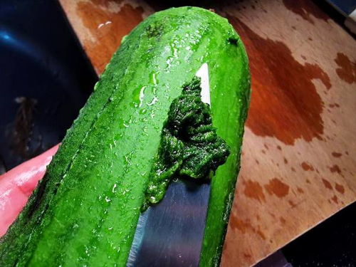 丝瓜什么人不能吃(丝瓜吃多了对男性性功能是不是有障碍),第1张 丝瓜什么人不能吃(丝瓜吃多了对男性性功能是不是有障碍),丝瓜什么人不能吃(丝瓜吃多了对男性性功能是不是有障碍),第1张