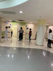 牛胆(牛胆粉),第1张 牛胆(牛胆粉),牛胆(牛胆粉),第1张