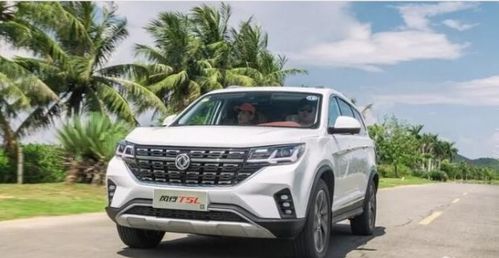 东风风行t5l（东风风行t5l油耗多少钱一公里）,东风风行t5l（东风风行t5l油耗多少钱一公里）,第3张