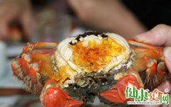 螃蟹的吃法图解(螃蟹的吃法图解说明),第3张 螃蟹的吃法图解(螃蟹的吃法图解说明),螃蟹的吃法图解(螃蟹的吃法图解说明),第3张