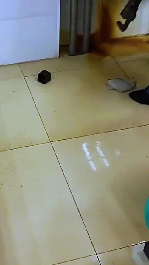 上海公司装修:如何正确安装拉铆螺母?,第3张 上海公司装修:如何正确安装拉铆螺母?,上海公司装修:如何正确安装拉铆螺母?,第3张