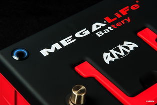 徐汇办公室装修:搭配生活美学 欧式古典现代家居装修图片分享,第3张 徐汇办公室装修:搭配生活美学 欧式古典现代家居装修图片分享,徐汇办公室装修:搭配生活美学 欧式古典现代家居装修图片分享,第3张