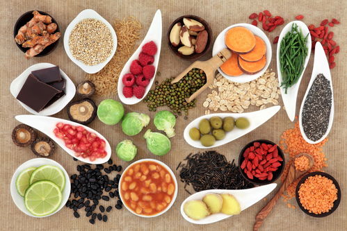 装修办公室:桥上飘荡的思绪——浅谈桁架桥的设计与历史,第1张 装修办公室:桥上飘荡的思绪——浅谈桁架桥的设计与历史,装修办公室:桥上飘荡的思绪——浅谈桁架桥的设计与历史,第1张